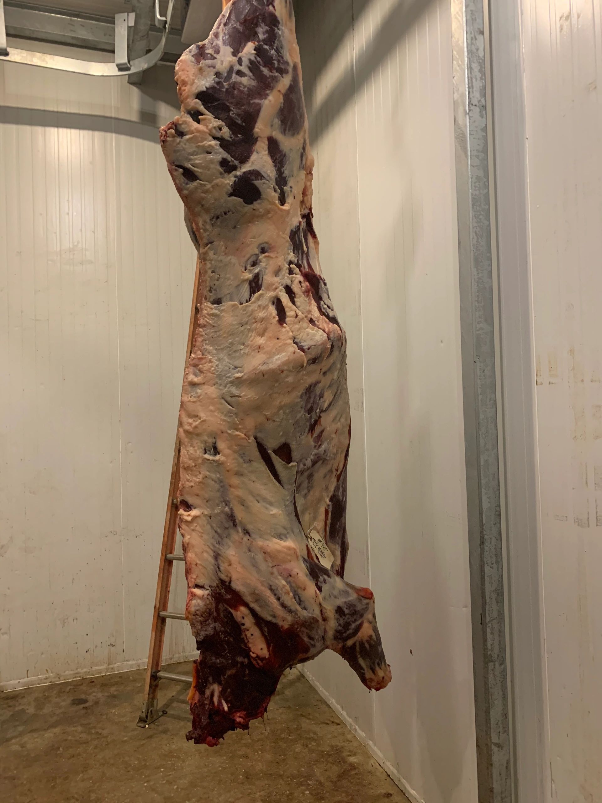 Hanging Apafia beef with good muscle and fat.
